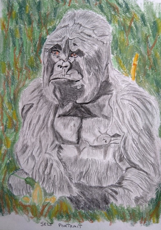 Self portrait.