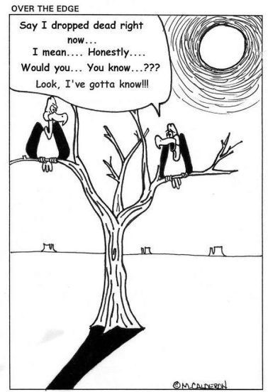 Vultures