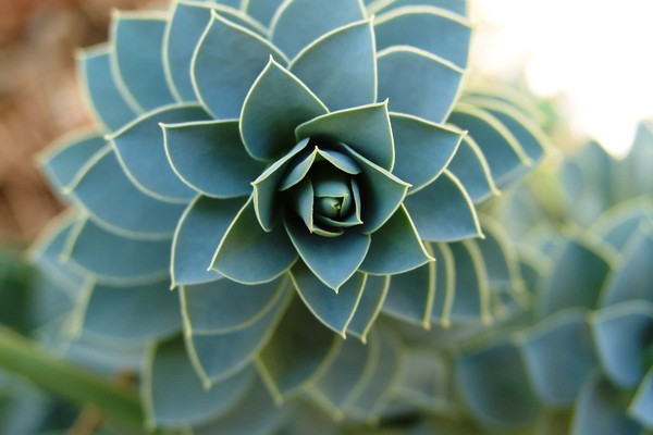 Spiral