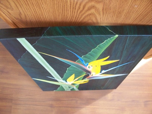 Paradise Commission Top Edge