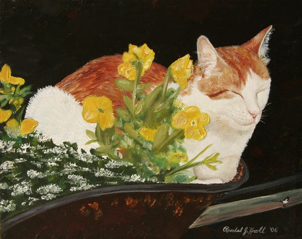 Summer Siesta