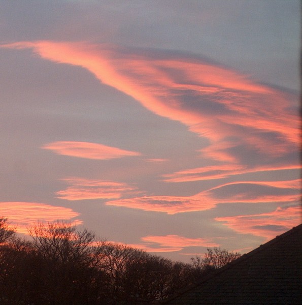 creature clouds at dawn
