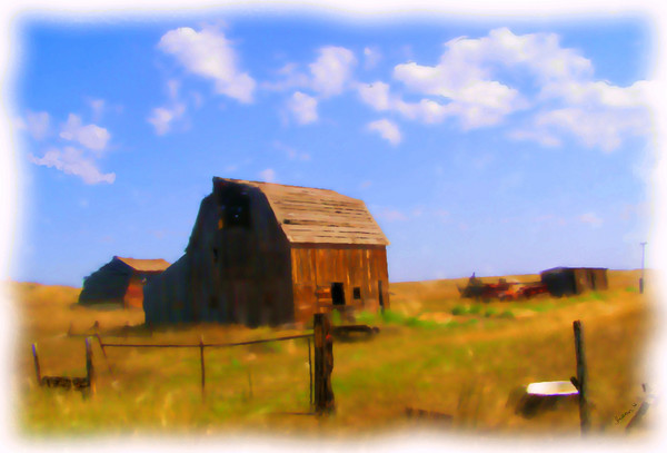 Forgotten Farm