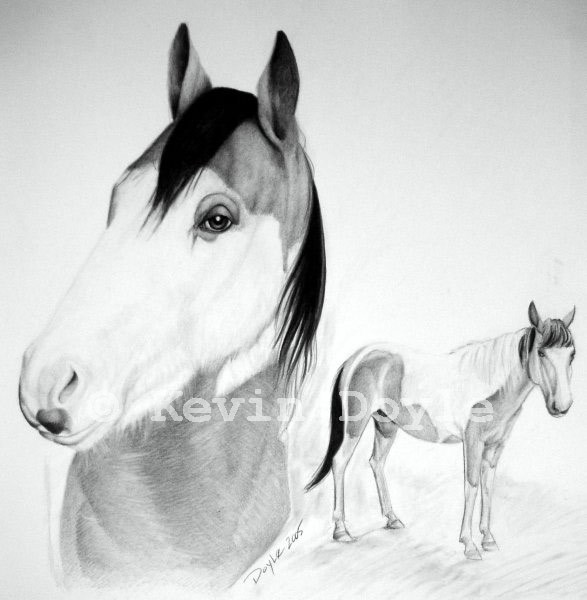 Horse