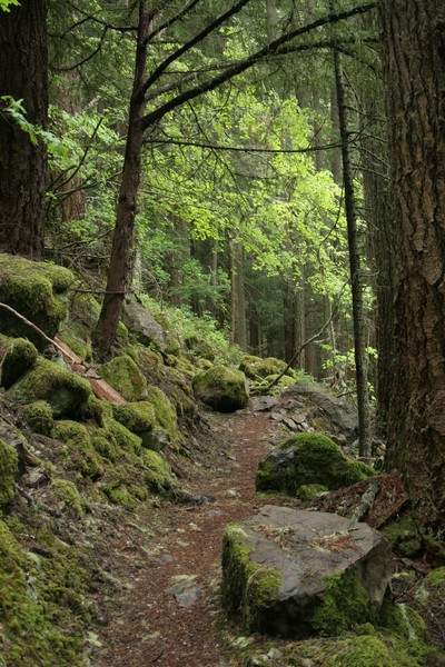 The Palisades Trail (Hwy 410)