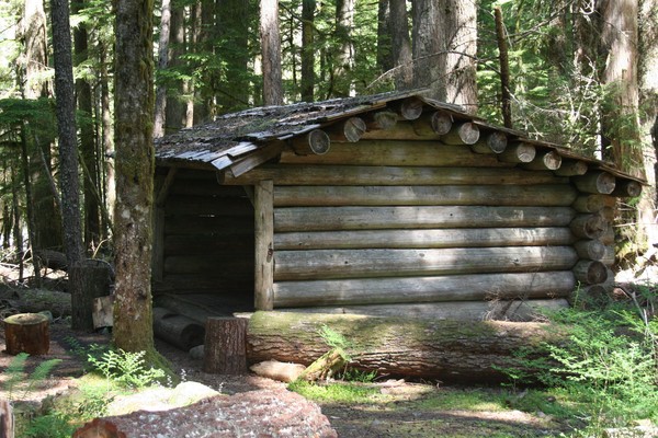 The Shelter