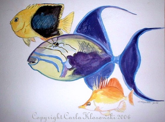 Sea Life