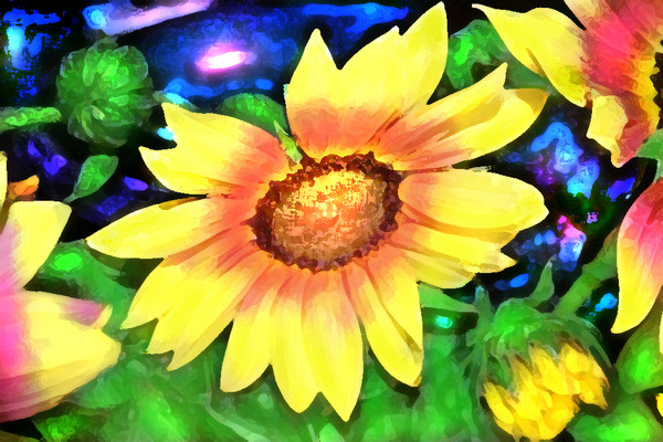 GIANT AZTEC SUNFLOWER
