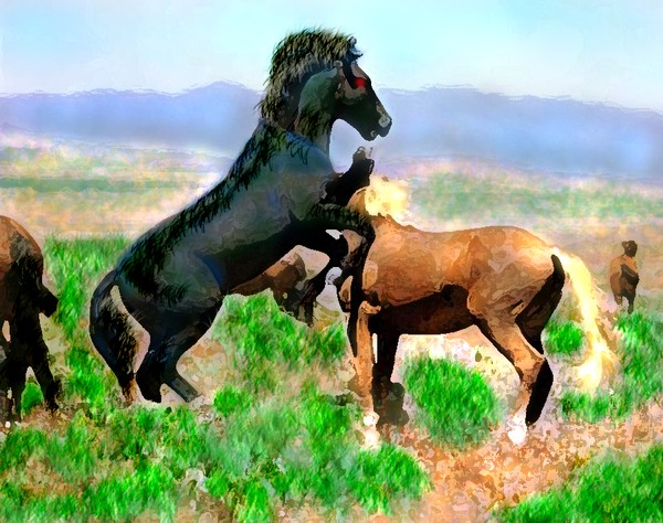 HOW THE BLACK STALLION FORGETS