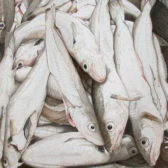 Fishes