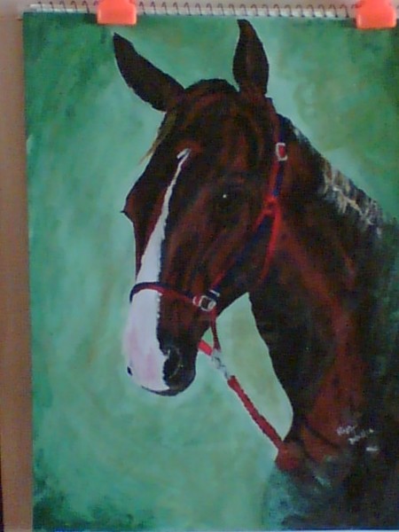 Horse