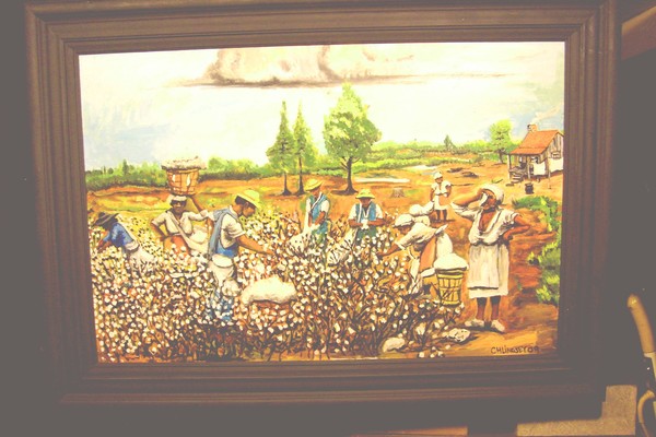 cotton fields