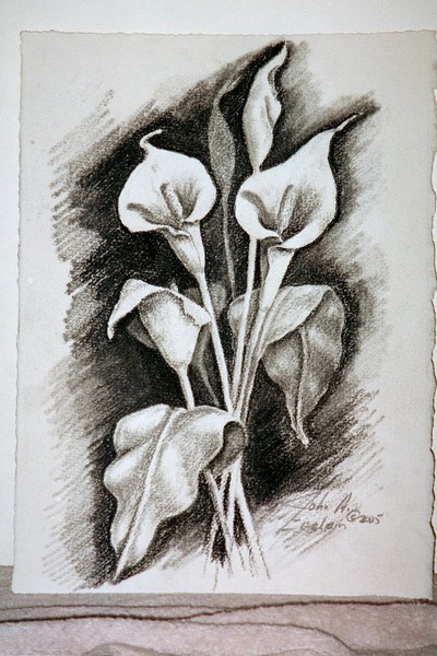cala lilies