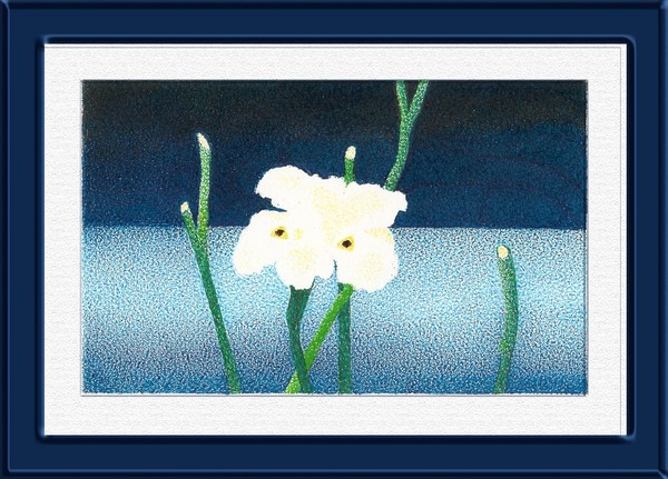 Flor do lago