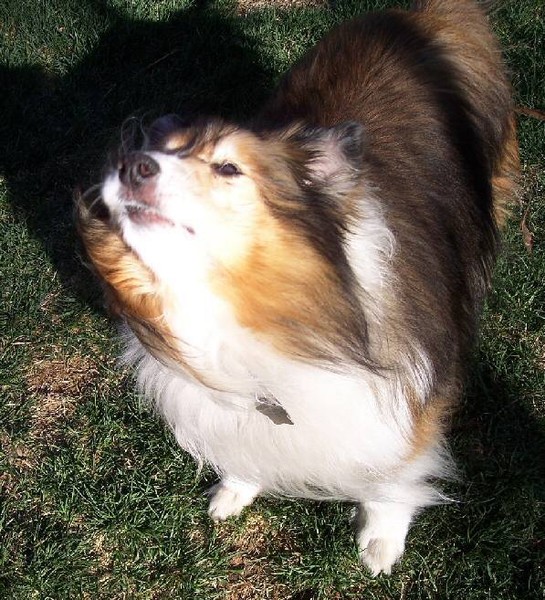 Enjoying the Breeze