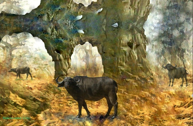Bullgate Land * 2020 Kiddolucaslee 