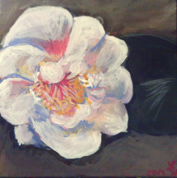 Pink flower 23