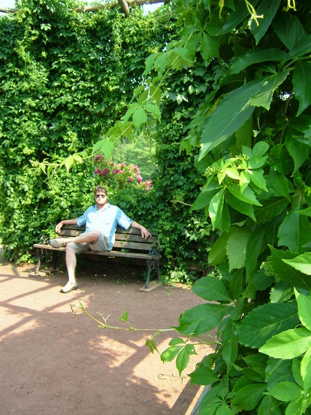 Hide and Seek in the rose garden