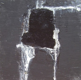 Equine Series