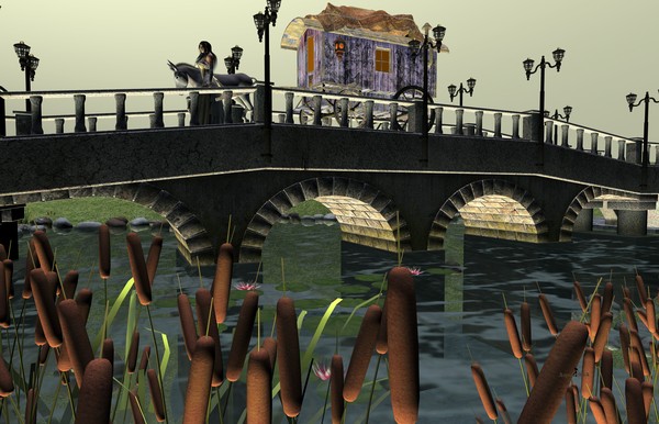 Crossing Bridges