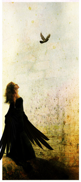 Learn to fly - HOPE