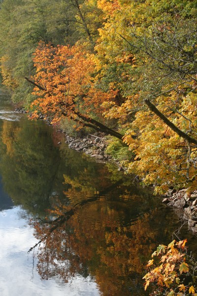 Colorful Reflections