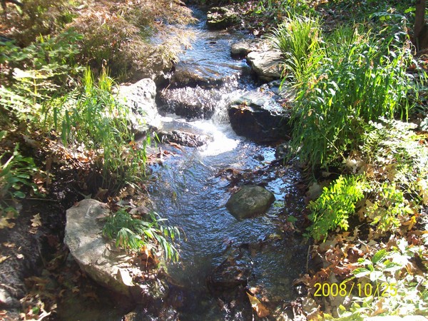 Fall Waterfall