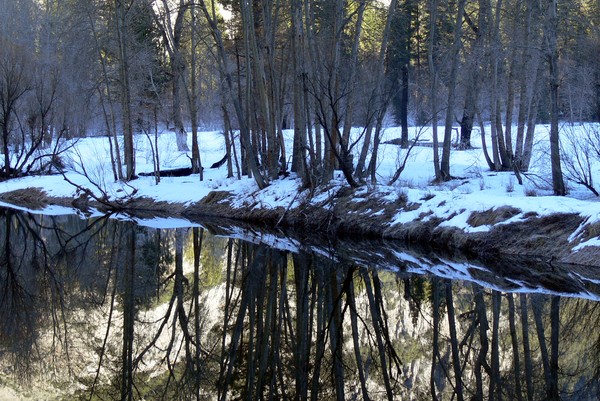 Reflections in The Merced 1