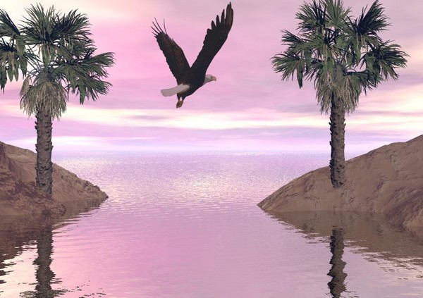 Tropical Flight