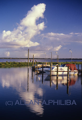 safe harbor