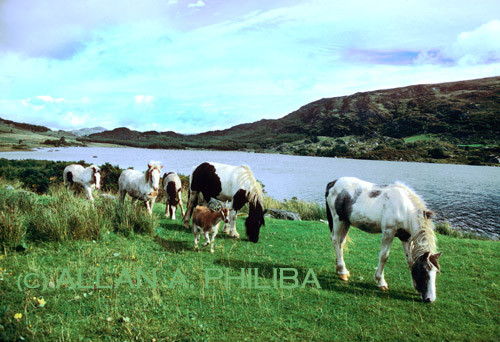 Ireland
