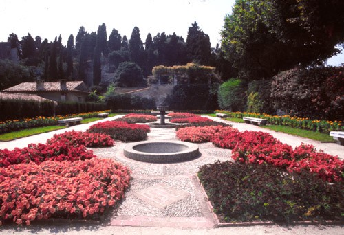 Gardens of Cimiez, Riviera