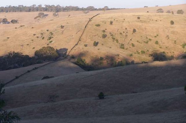 The integument region of Strathalbyn.