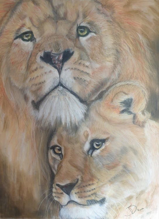 Lion love 3