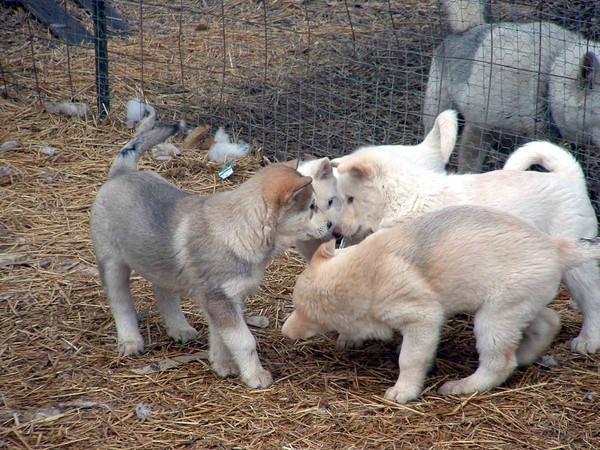 Huddle time