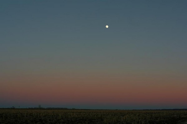 New Years Day Moonrise