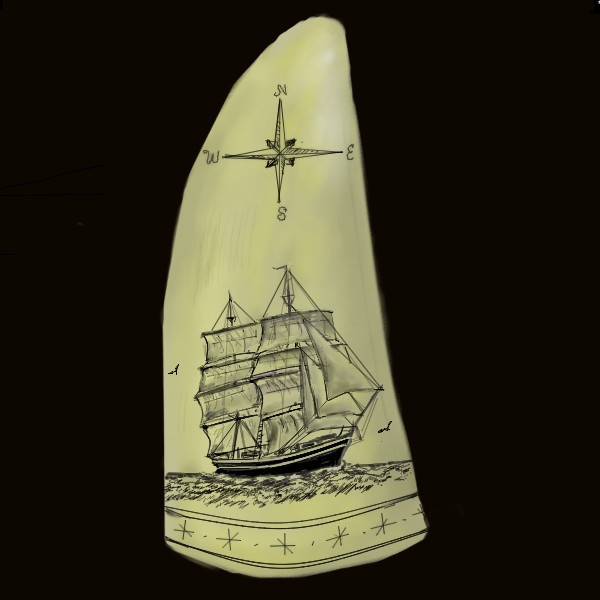 Whaletooth Scrimshaw (drawing)