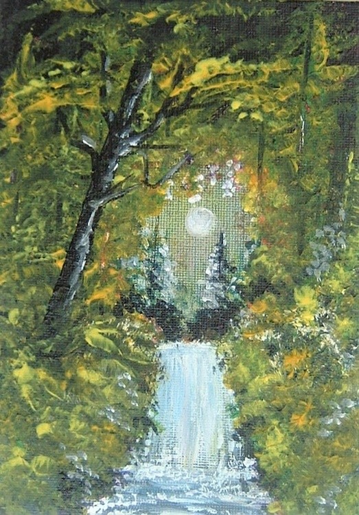 moonlight woodland