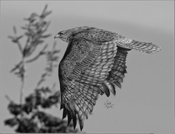 In flight 2