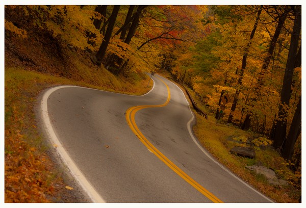 Route 218