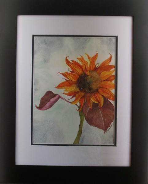 Sunflower Breeze
