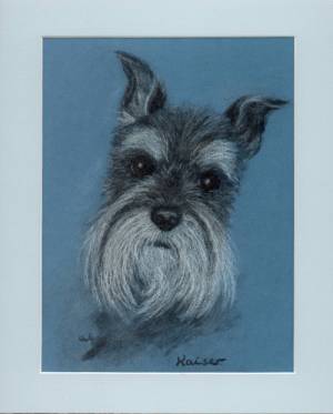 Schnauzer