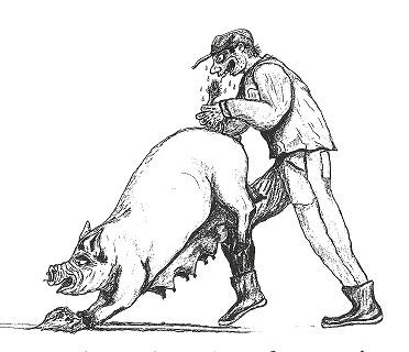 The Sow