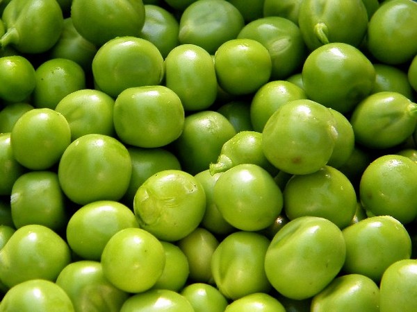 Green Revolution..