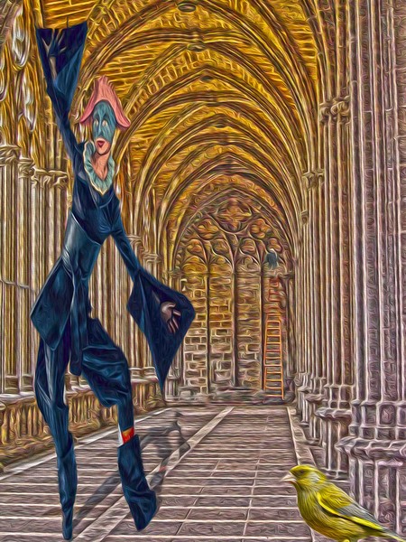 black harlequin riding the cloister