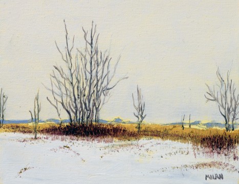 First Snow
