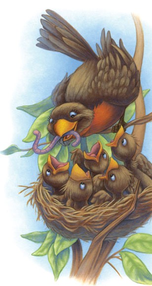 Mother Robin