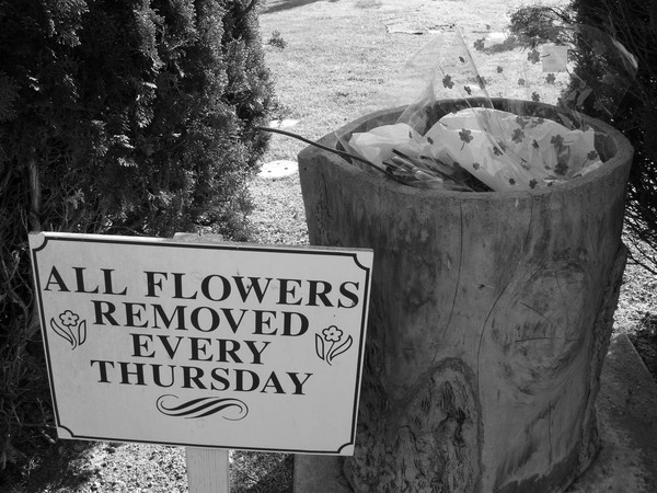 Flowers Die, Too