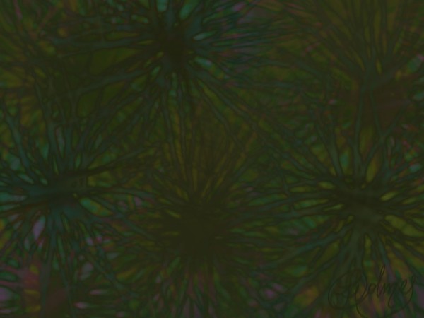 Dark seeds