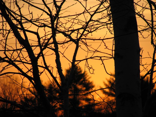 Blaze of Glory!